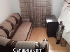 Metrou Victoriei, Romana, 1-2 camere (pt. doamne), demisol vila, central